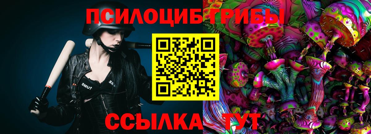 сколько стоит  Галлюциногенные грибы Psilocybe  Вход с VPN  Тихорецк 